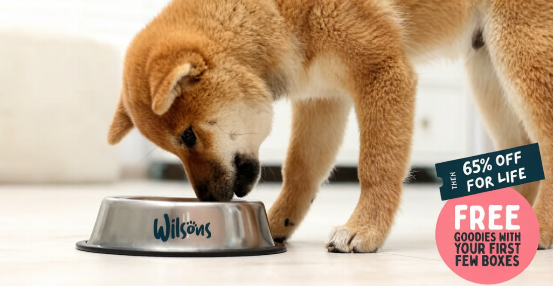 The Ulti-Mutt Dining Experience