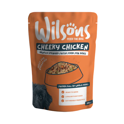 Dog Food for Diarrhea